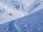 Fixations Kingpin : prise en main