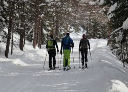 Visite guidée skis aux pieds à Crans-Montana